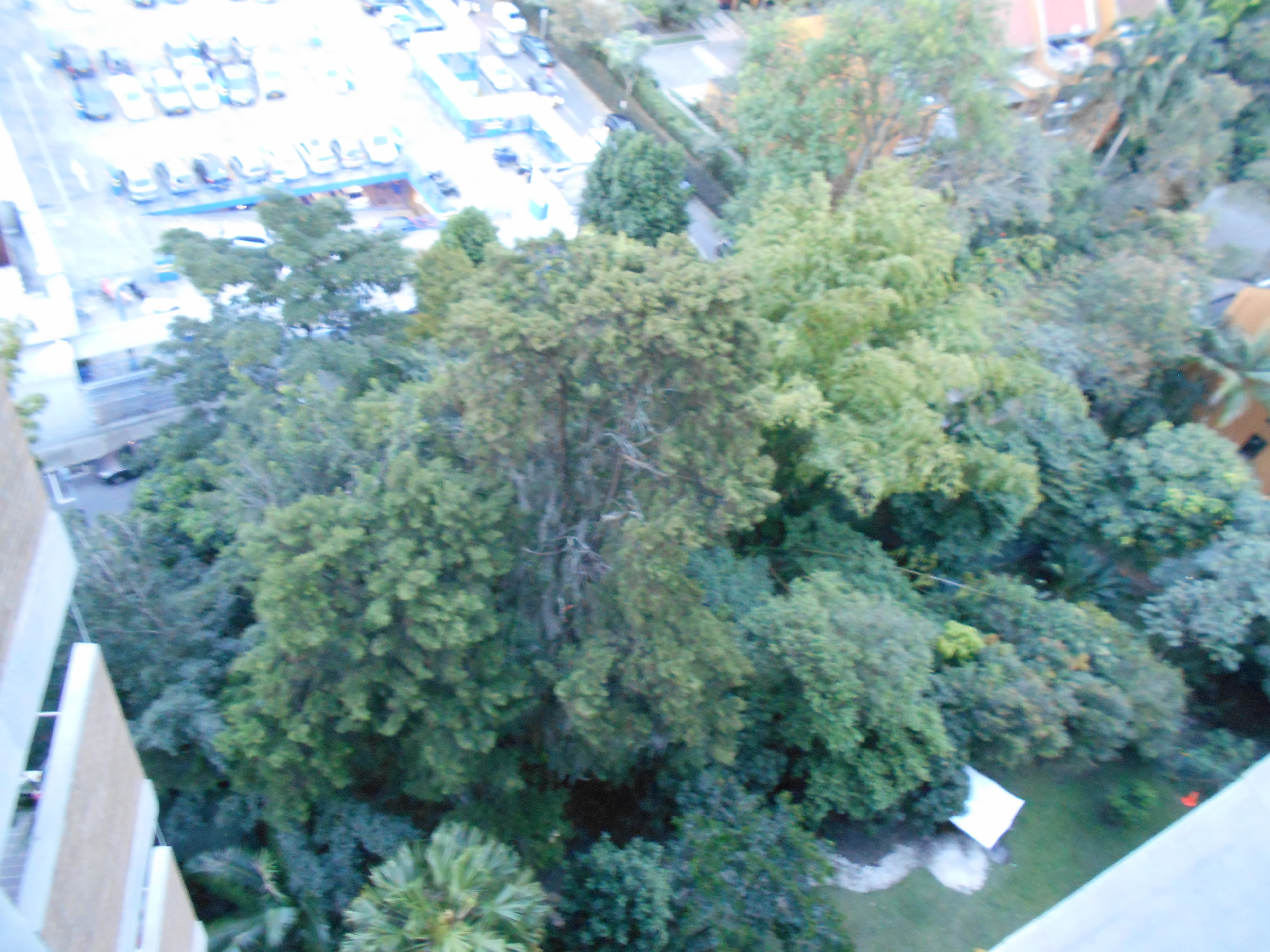 apartamento en arriendo sector Frontera Envigado