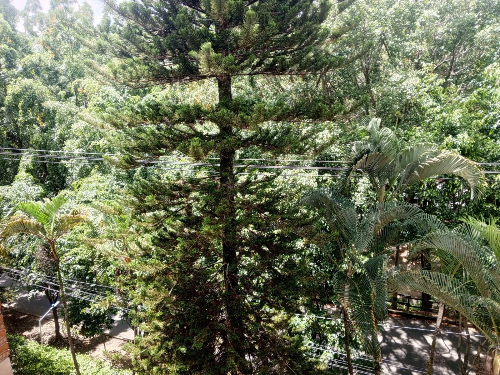 Apartamento para arrendar en la Mota, Belén 